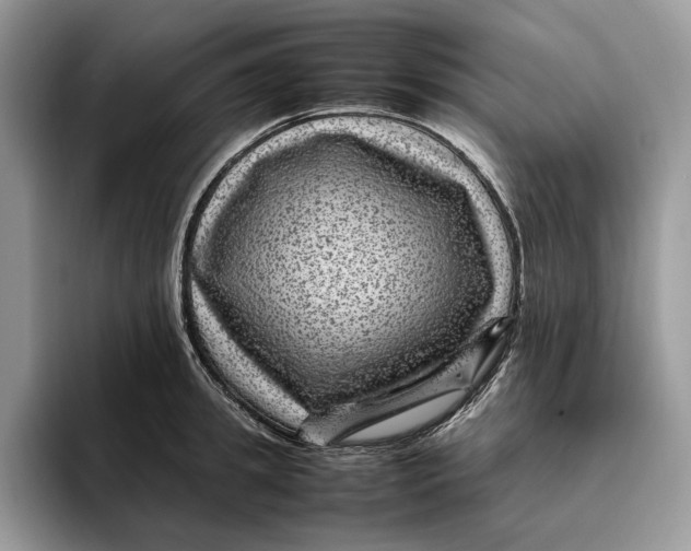 X0000095940949200802011039