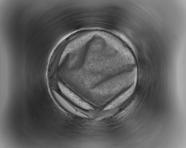 X0000095940951200802011039