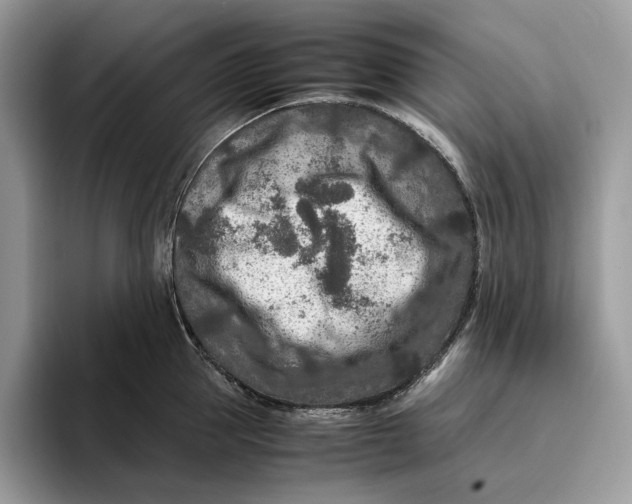 X0000095940953200802011039