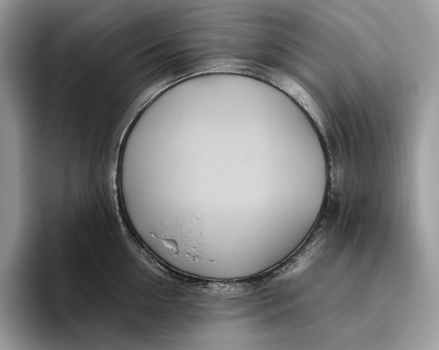 X0000095940954200802011039