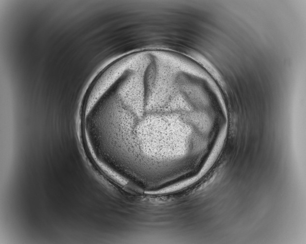 X0000095940955200802011039