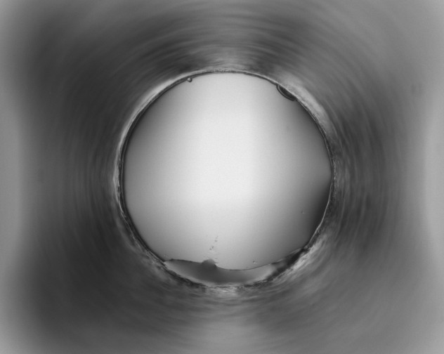 X0000095940956200802011039