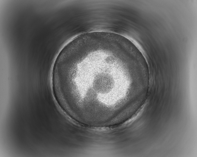 X0000095940957200802011039