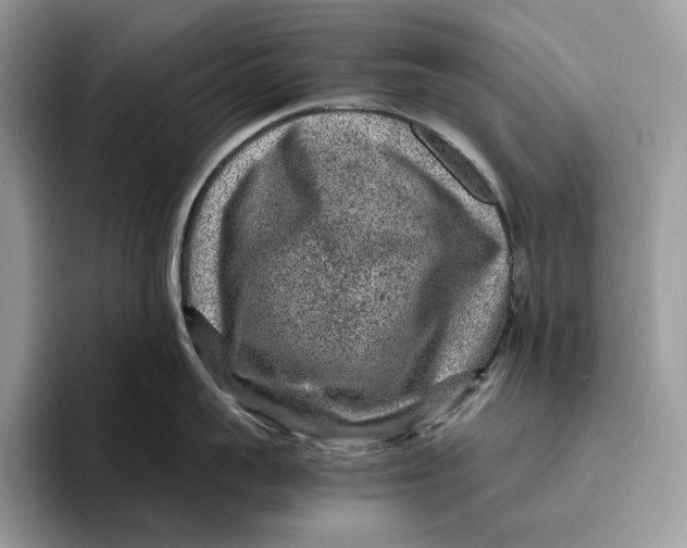 X0000095940959200802011039