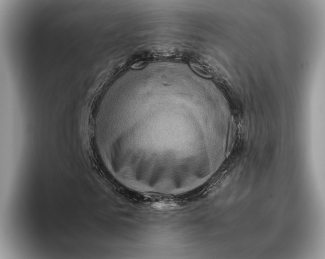 X0000095940961200802011038