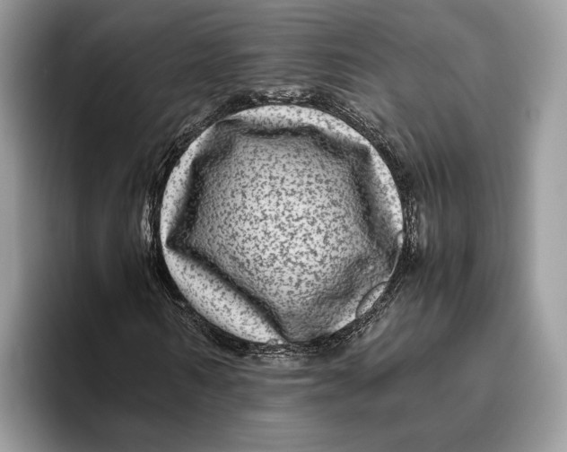 X0000095940962200802011038