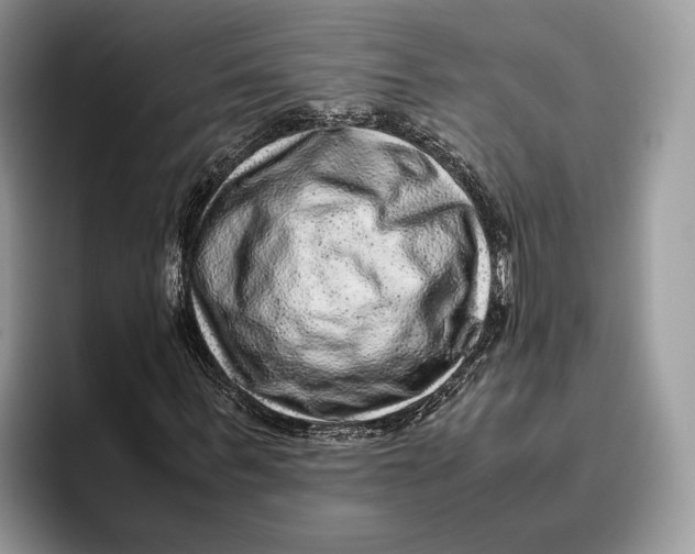 X0000095940963200802011038