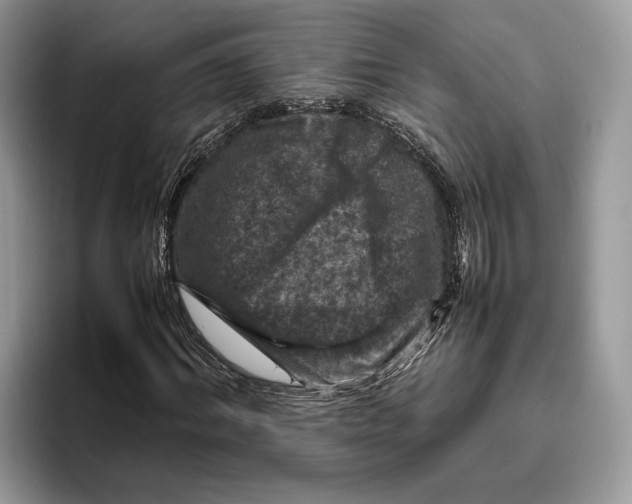 X0000095940964200802011038