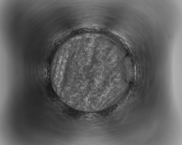 X0000095940966200802011038