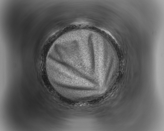 X0000095940967200802011038