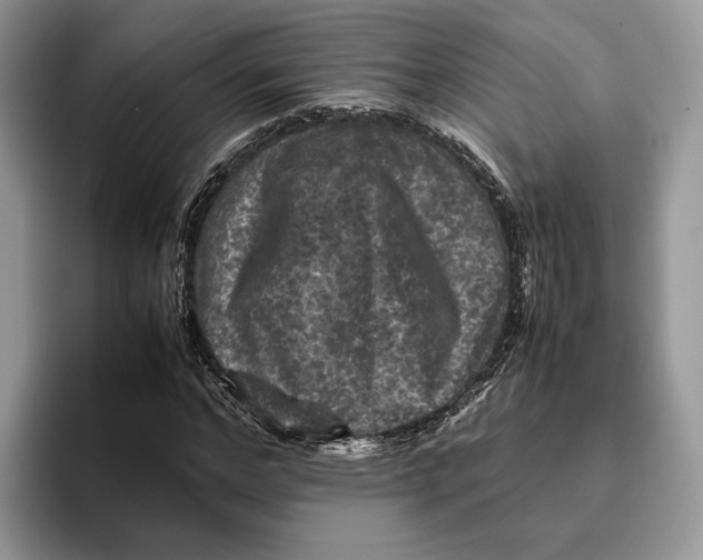 X0000095940968200802011038