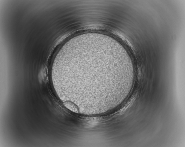 X0000095940970200802011038