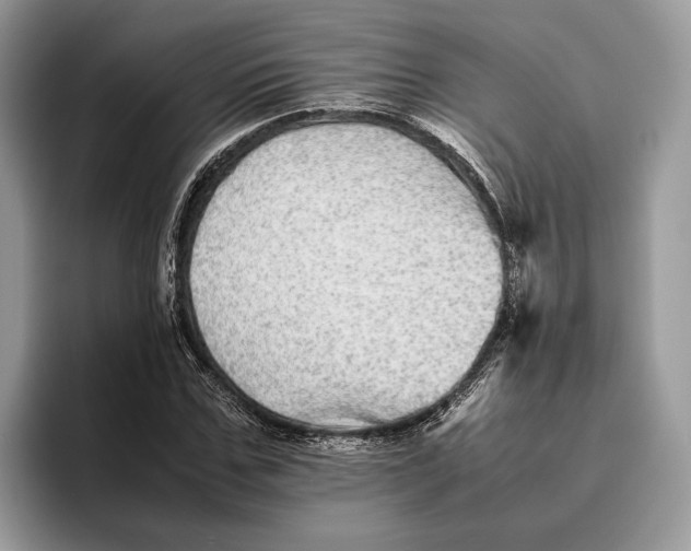 X0000095940971200802011038