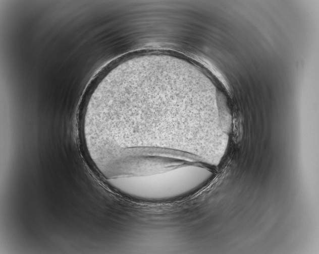 X0000095940972200802011038