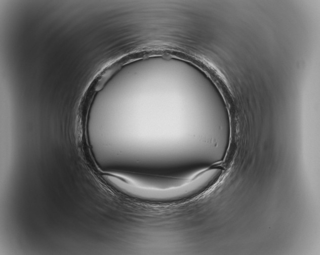 X0000095940973200802011038