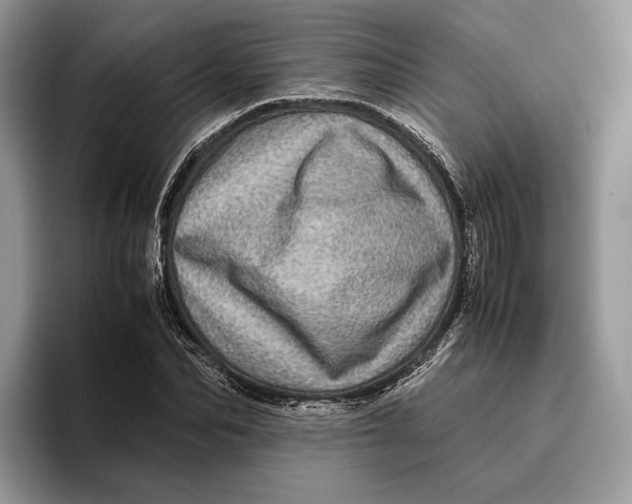 X0000095940974200802011038