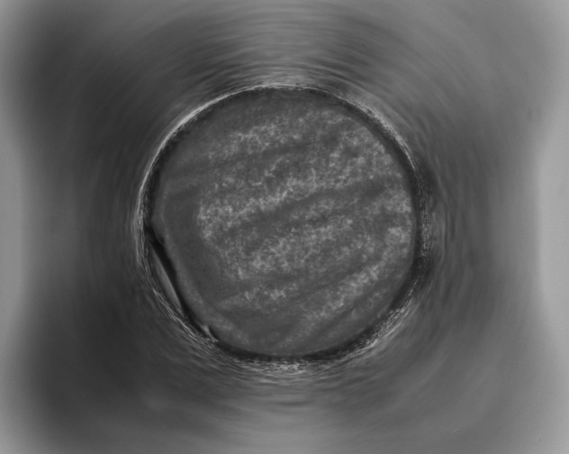 X0000095940975200802011038