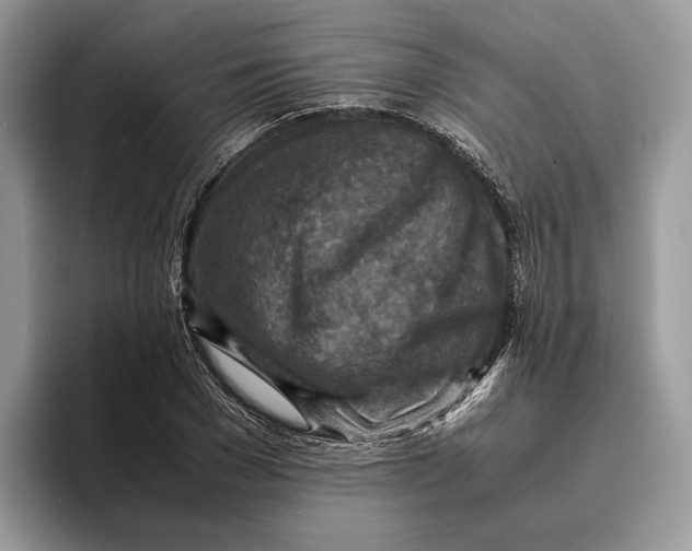 X0000095940977200802011038