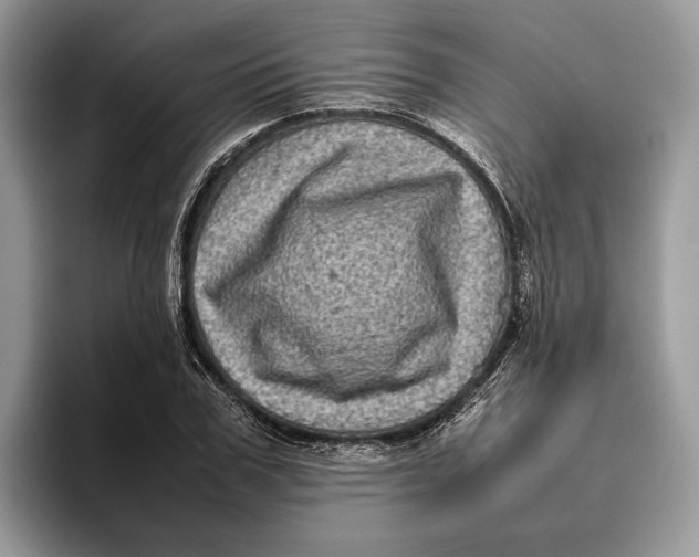 X0000095940979200802011038