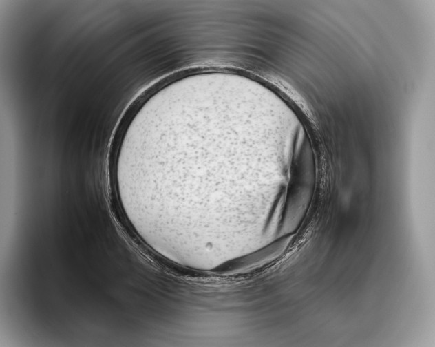 X0000095940980200802011038