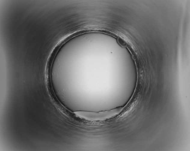 X0000095940981200802011038