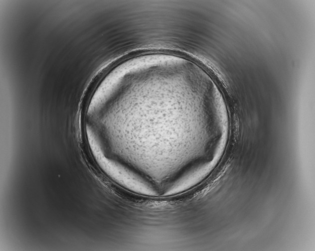 X0000095940982200802011038