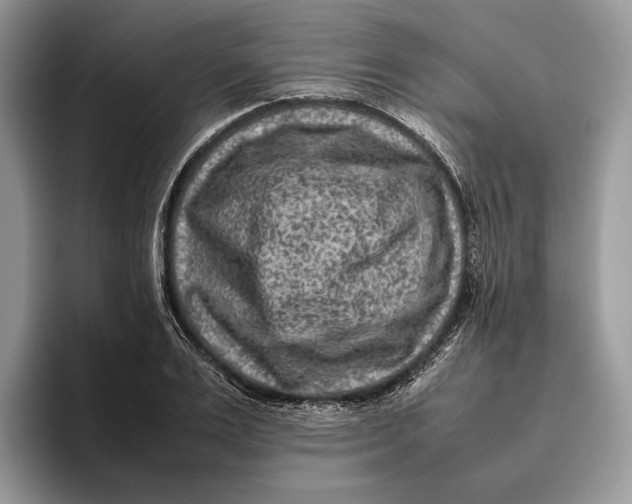 X0000095940983200802011038