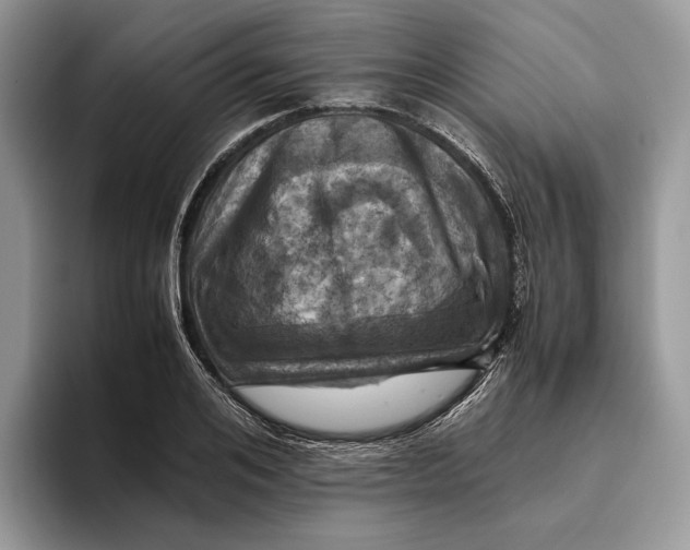 X0000095940984200802011038