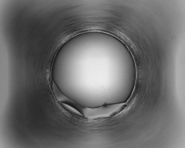 X0000095940985200802011038