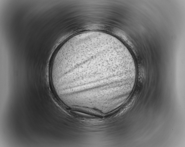 X0000095940986200802011038