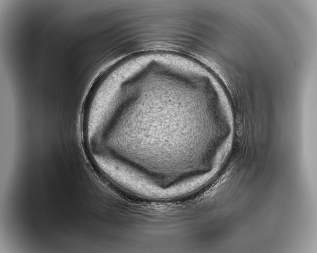 X0000095940987200802011038