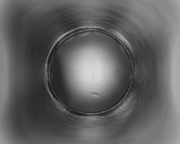 X0000095940988200802011038