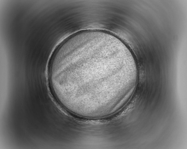 X0000095940990200802011038