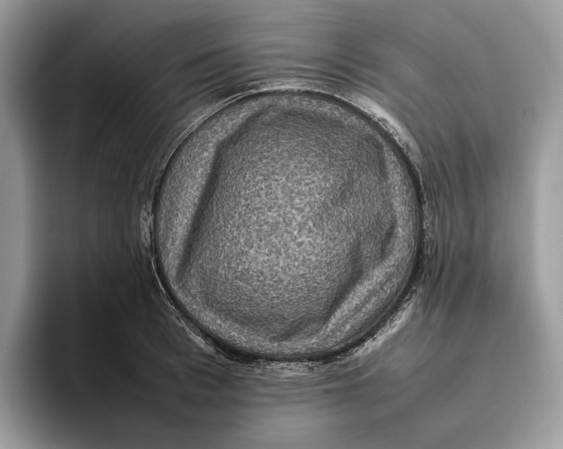 X0000095940993200802011038