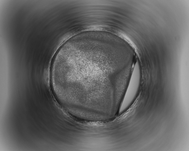 X0000095940994200802011038