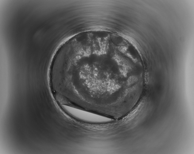 X0000095940995200802011038