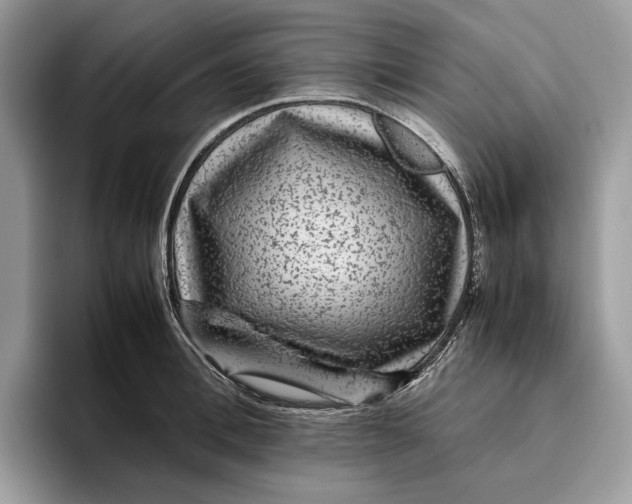 X0000095940996200802011038