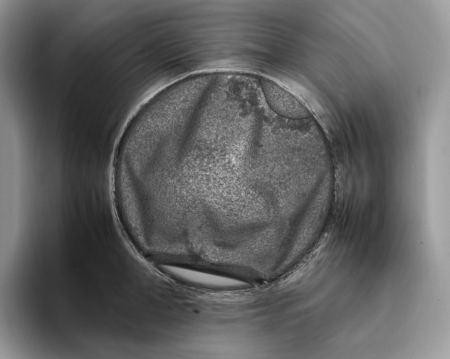 X0000095940998200802011038