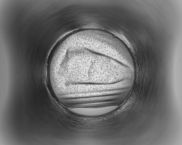 X0000095941000200802011038