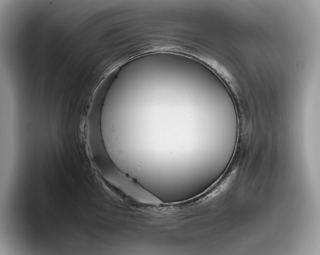 X0000095941001200802011038