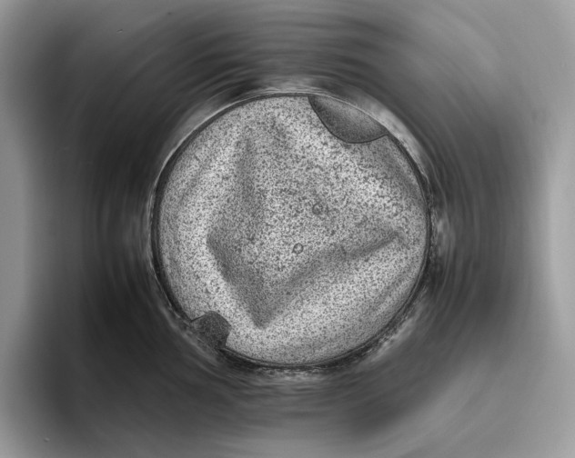 X0000095941002200802011038