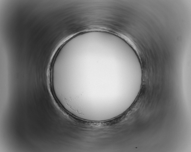 X0000095941003200802011038