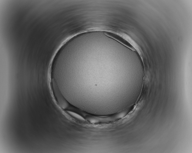 X0000095941005200802011038