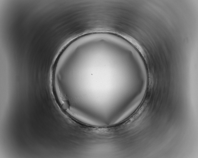 X0000095941006200802011038