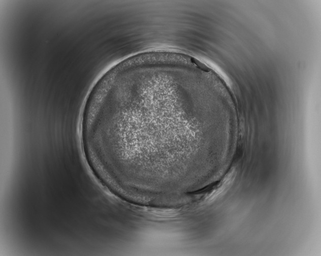 X0000095941007200802011038