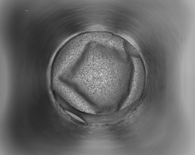 X0000095941008200802011038