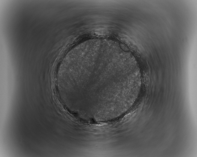 X0000095941009200802011037