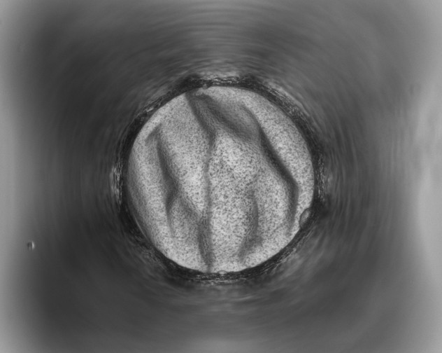 X0000095941010200802011037