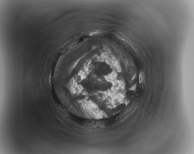 X0000095941011200802011037