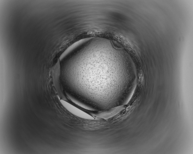 X0000095941012200802011037